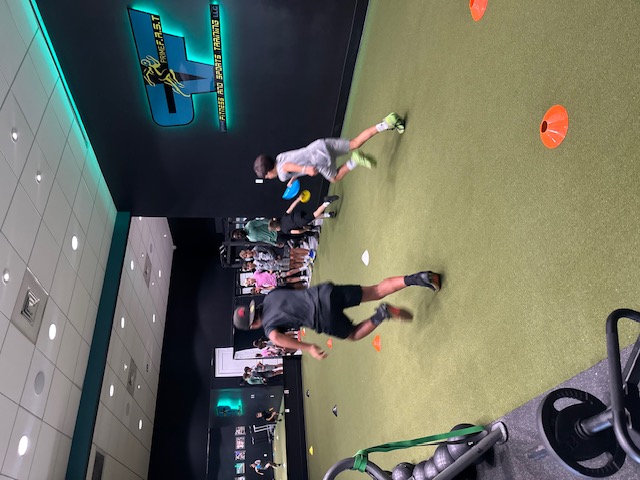 Speed & Agility Turf